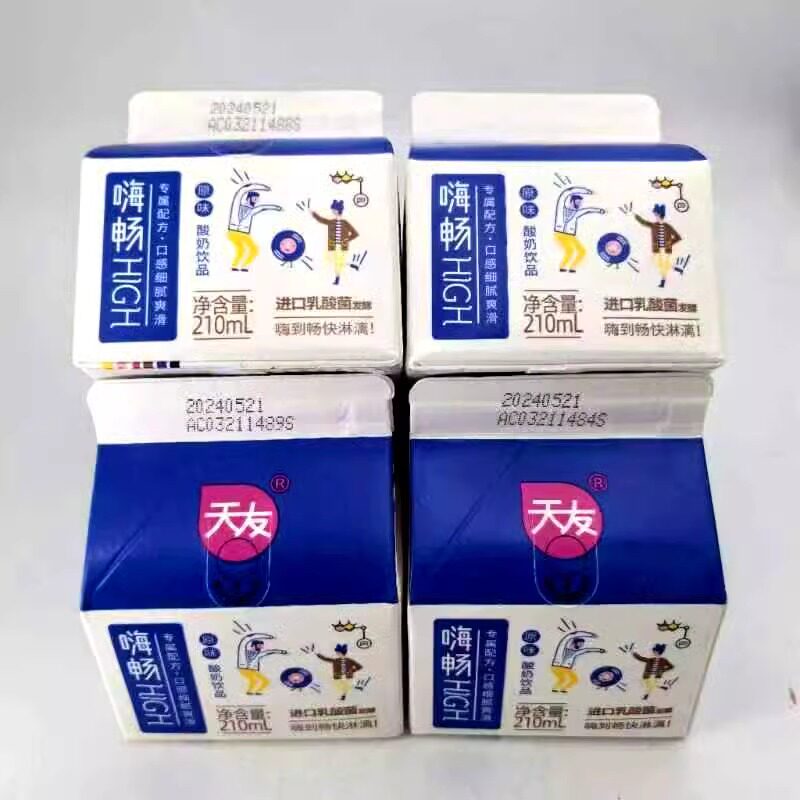 天友嗨畅进口乳酸菌发酵原味酸奶饮品料儿童早餐解腻餐饮火锅伴侣
