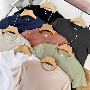 纯色基础款 日单 8色 2024夏新款 T恤女纯棉上衣 百搭圆领正肩短袖