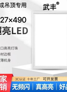 327x490集成吊顶嵌入式LED平板灯