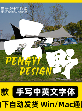书法笔刷中英文字体大气磅礴书法字体ps ai procreate书法字体