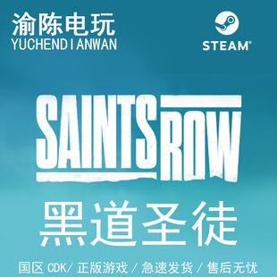 Steam正版 黑道圣徒 重启版 Saints Row 国区cdkey激活码