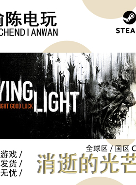 Steam正版 消逝的光芒 决定版DLC Dying Light 国区cdkey激活码