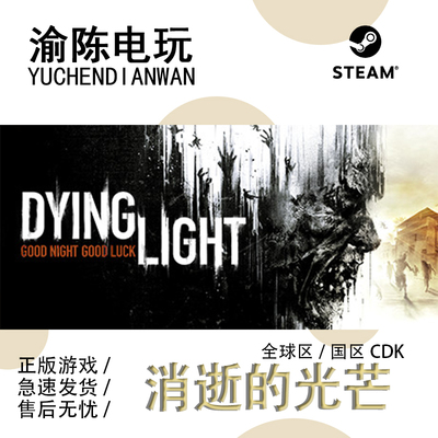 Steam正版消逝的光芒决定版