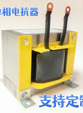 40A5mH50Hz单相直流电抗器平波电感扼流圈 铁芯电感交流平波电抗