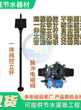 一体式阀控脉冲电磁阀