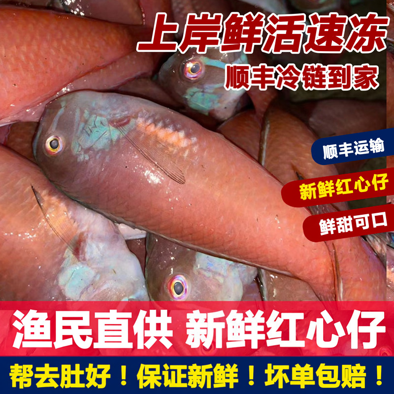 潮汕海味海鲜惠来神泉新鲜红心仔英歌鱼红莺歌鱼水产海鱼仔鹦鹉鱼