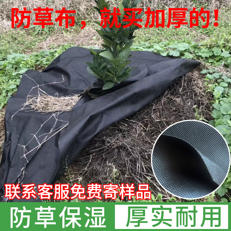 防草布除草布耐用加厚抗老化生态农用新型地布地膜果树果园无纺布