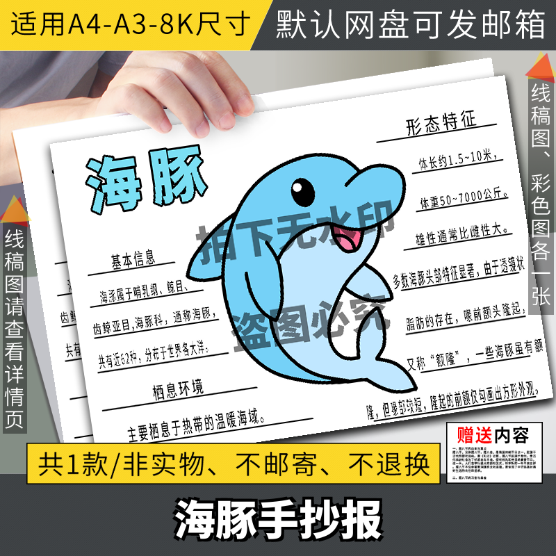 海豚手抄报模板电子版自然笔记观察记录海洋动物名片线稿小学
