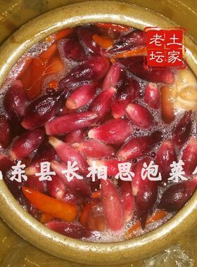 恩施特产泡洋荷土家老坛巴东酸菜