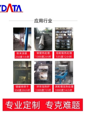 源头厂家炉温曲线测试仪炉温跟踪仪460度1小时不粘锅测温仪mydata