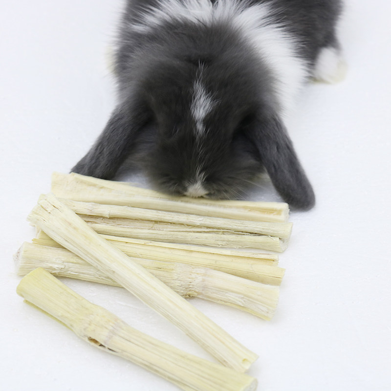 宠物兔专用磨牙甜竹仓鼠高纤维磨牙棒245g荷兰猪豚鼠龙猫用品零食在类目 宠物/宠物食品及用品, 兔类及其用品, 兔兔磨牙中 - 来自Buy2taobao.com提供专业的淘宝代购服务