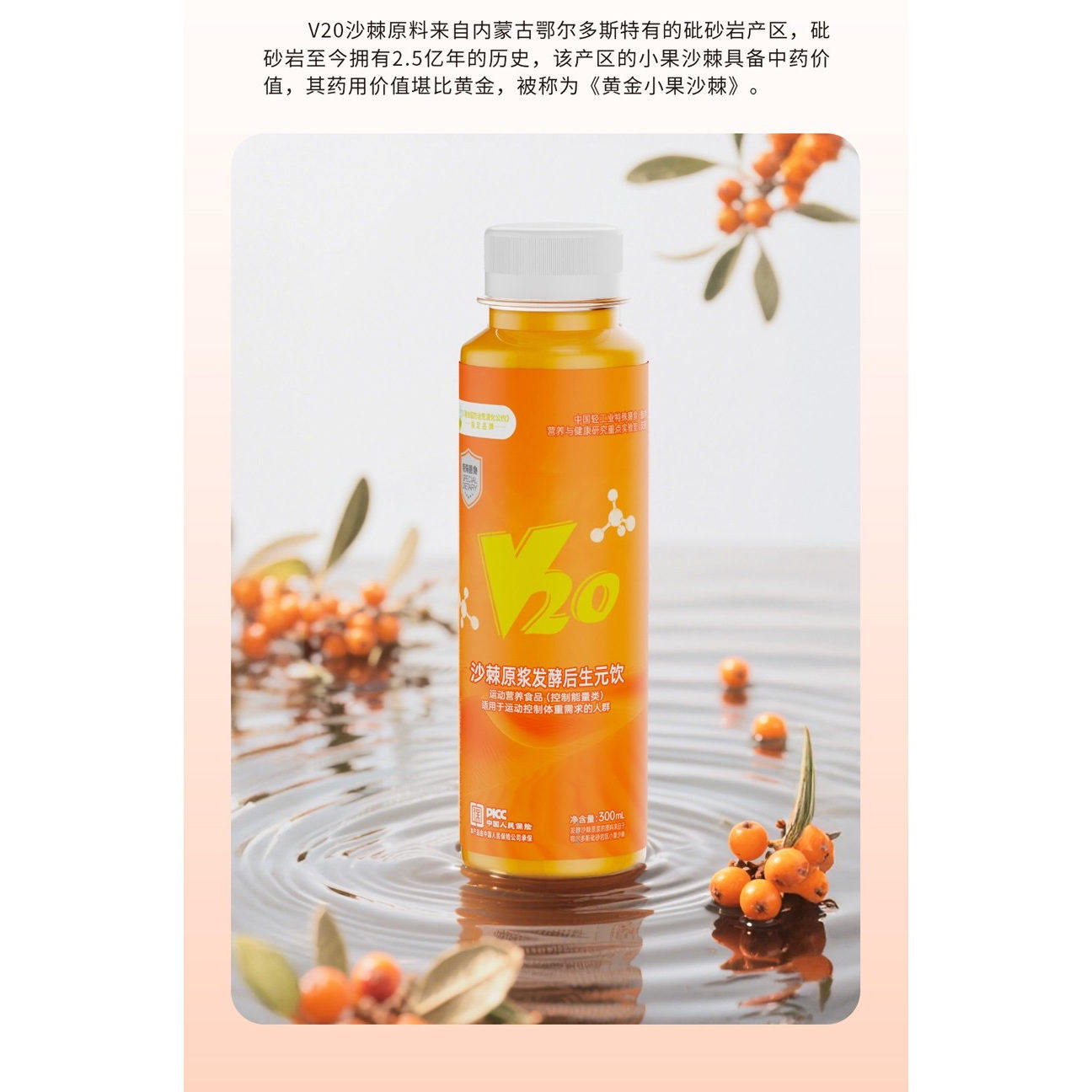 V20植物饮品沙棘原浆发酵后生元