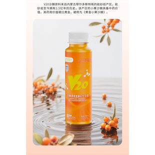 V20植物饮品沙棘原浆发酵后生元饮运动营养食品