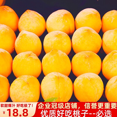 现摘现发砀山新鲜黄桃10斤时令应当季孕妇水果大毛蜜桃子整箱包邮