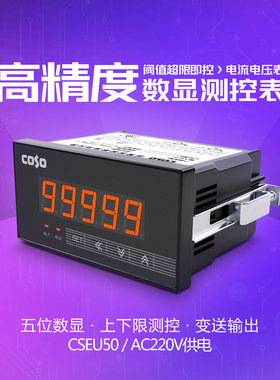 高精度五位数显电流电压表测控表