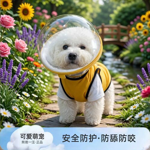 宠物狗狗头套防咬防舔猫咪防误食项圈遛狗伤口太空头罩伊丽莎白圈