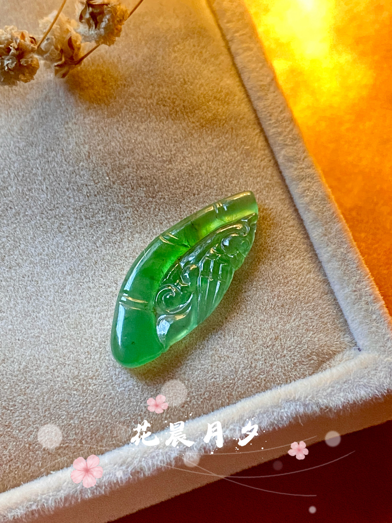 缅甸玉石天然A货翡翠老坑冰种辣绿鹦鹉竹节