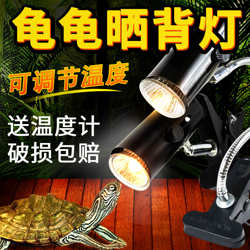乌龟晒背灯太阳灯uva+uvb全光谱加热灯加温保温补钙杀菌套装迷你