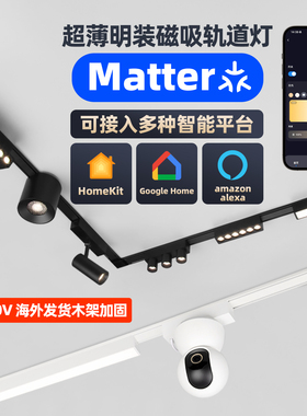 苹果HomeKit智能matter超薄明装磁吸轨道灯免吊顶黑色白色无主灯