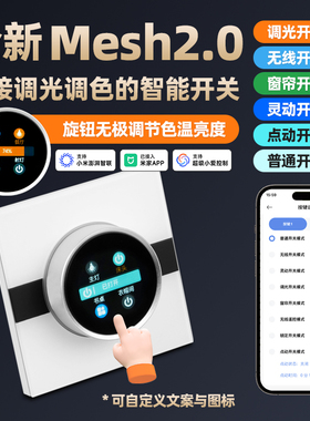 已接入米家APP智能开关带旋钮调光调色定义文字天气智能家庭面板