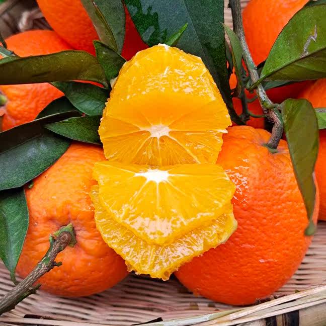 重庆正宗奉节脐橙20斤橙子新鲜孕妇水果包邮当季,水产肉类/新鲜蔬果/熟食,橙,淘宝优惠券,粉丝福利购,淘宝优惠卷