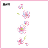 三川集 粉色花朵樱花彩色纹身贴 胸口手臂脸锁骨贴纸防水女持久