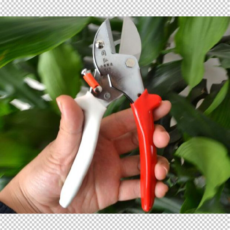 台湾进口岡弘V517苗圃花园花卉插花专用剪女士专用修枝修花剪