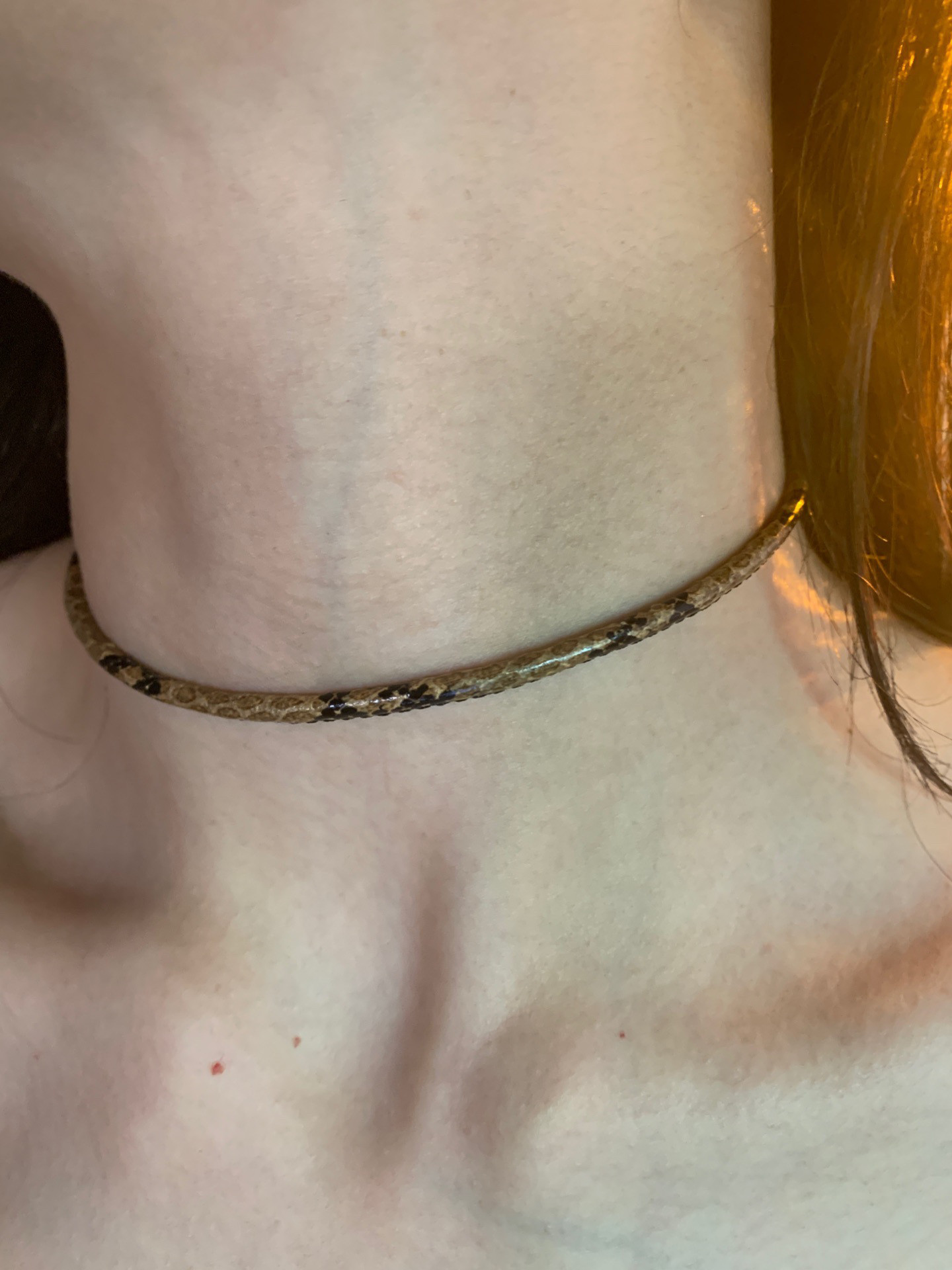 细款辣妹风蛇纹choker软皮革颈链小众高级感锁骨链y2k短款项链潮