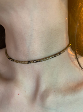 细款辣妹风蛇纹choker软皮革颈链小众高级感锁骨链y2k短款项链潮