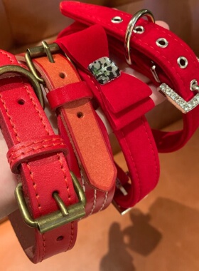 荒地玫瑰~小众高级感红色choker