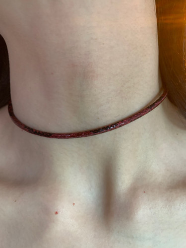显白的暗红蛇纹choker细款项圈女日常百搭颈链高级感锁骨链2026潮