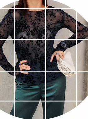 PENNYPENG细节之处做贵族 精致植绒提花 两色长袖网纱上衣 N08079