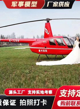 大型直升机模型网红拍照打卡道具展览R44R22户外景区仿真飞机模型