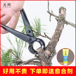 盆景球节剪球钳盆栽树瘤树节修剪钳专业园艺花艺制作造型养护工具