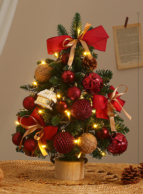 Small Christmas tree ornament with encrypted PE and lights