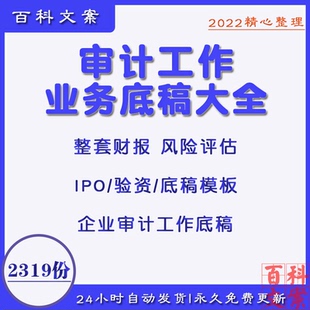 审计工作底稿模板整套财报IPO验资业务编制指引案例word资料大全