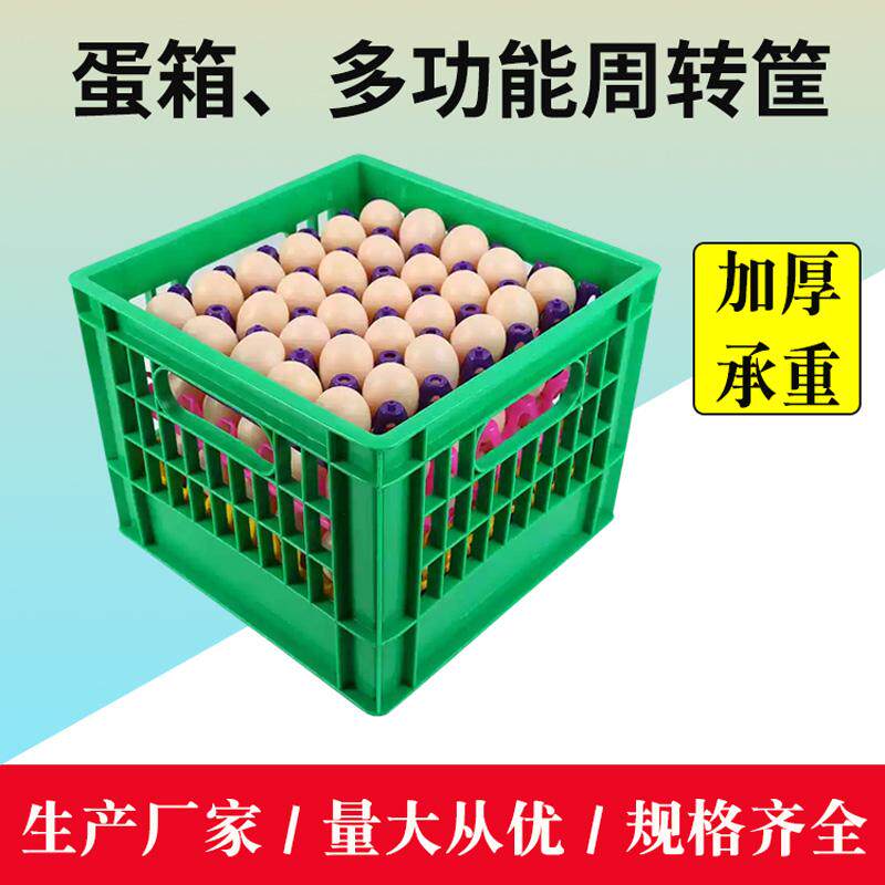 鸡蛋专用筐塑料鸡蛋筐蔬菜筐鸡蛋周转箱运输专用蛋箱水果存放蛋框