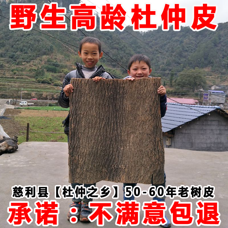 正品杜仲皮 野生特级张家界特产慈利杜仲老树厚皮可泡茶泡酒500g