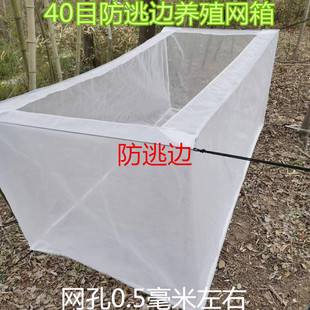 40目防逃边养殖网箱泥鳅黄鳝网箱水产养鱼存鱼网箱渔网定做圣贺