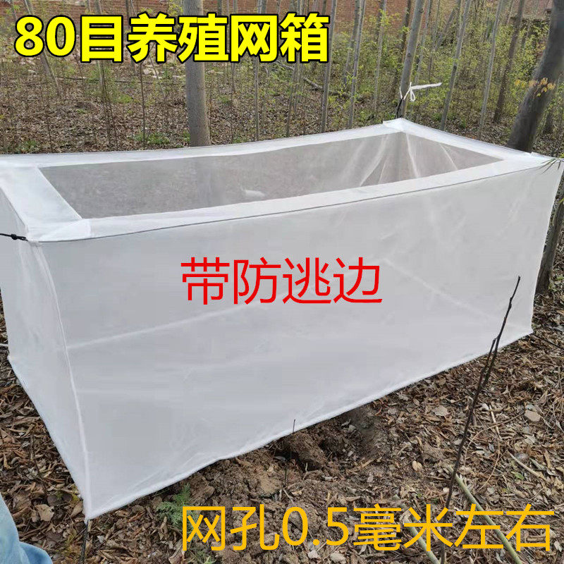 80目网箱防逃网渔网养殖网水蛭龙虾黄鳝网箱鱼苗幼苗 孵化苗定做