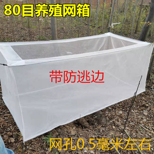 80目网箱防逃网渔网养殖网水蛭龙虾黄鳝网箱鱼苗幼苗 孵化苗定做