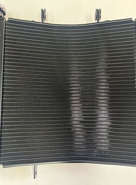 摩托车配件凯旋Triumph765RS水箱总成 凯旋765 Street tuiple水箱