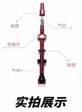 Ridenow自行车真空气嘴公路车铝合金法嘴45mm65mm 山地车延长气嘴