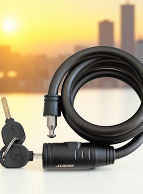 Giant/捷安特车锁山地车防盗钢缆锁自行车防盗锁加长1.5M钥匙锁