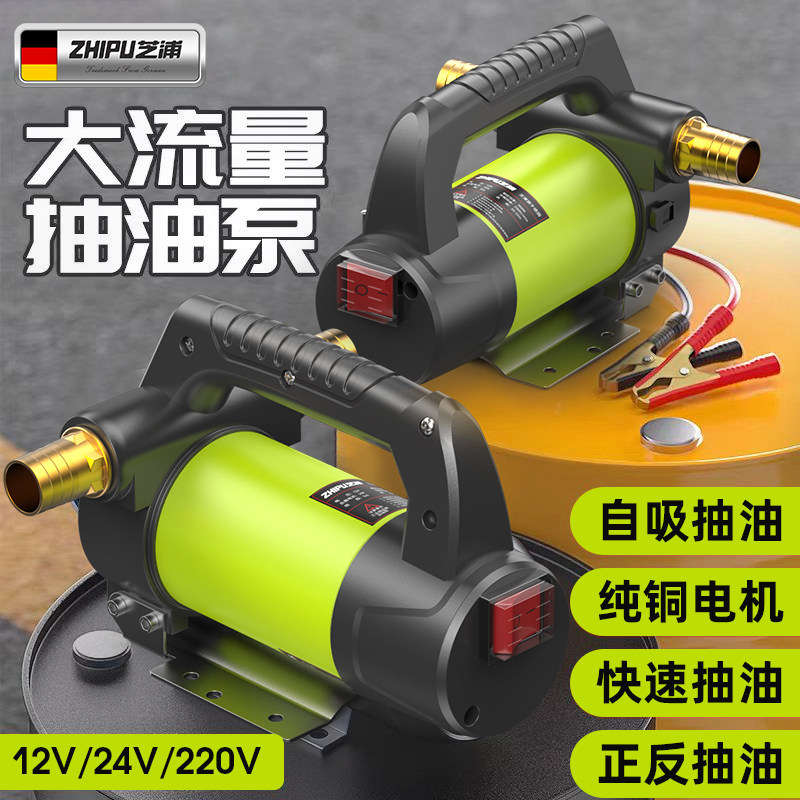 电动抽油泵12v24v220v通用柴油泵小型加油泵加油机吸油泵抽油神器