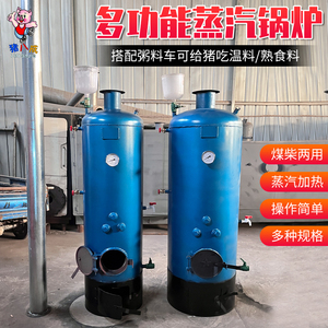 立式蒸汽锅炉商用小型取暖炉