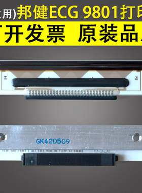 适用 邦健 心电图机 ECG 9801热敏头 ECG-9801 bplus-8 打印头