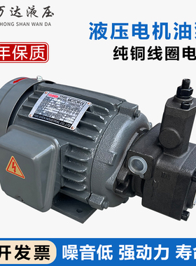 液压电机 内插式电机油泵组 0.75KW/1.5KW/2.2KW配VP20/VP15/VP30