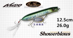 日本 EVERGREEN Showerblows 硬饵 水面铅笔 波扒 泼爬26g