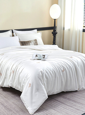 高档纯手工桑蚕丝被子定制260x240x270x230春秋被220x250冬被芯厚